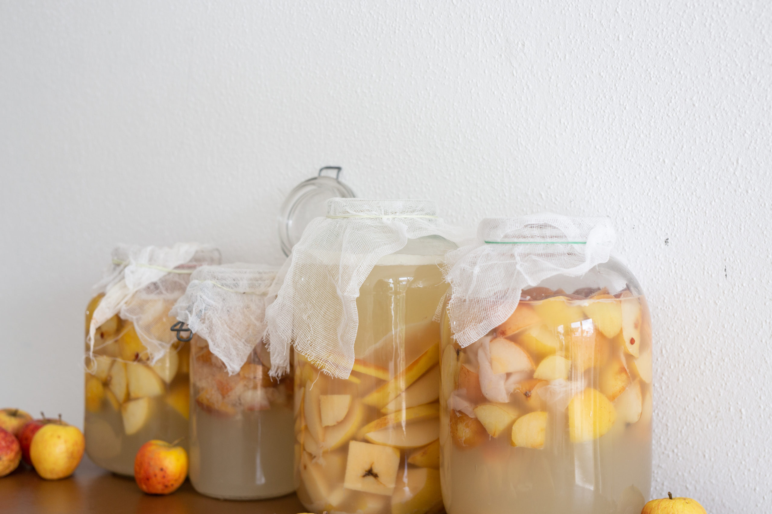 Apfelessig selber machen - Einfaches Rezept (Teil 1) - Vier Apfel- und Birnen-Essiggläser bedeckt mit Mulltüchern auf einem Holztisch vor weißer Wand | Syl Gervais - Vegane Rezepte