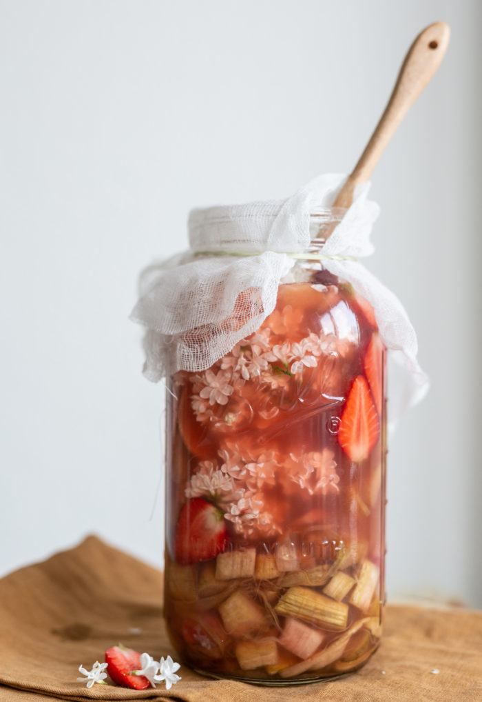 Erdbeer-Rhabarber-Shrub selber machen - Essigsirup aus Früchten | Gesunde vegane Rezepte & Fermentier-Workshops - Syl Gervais