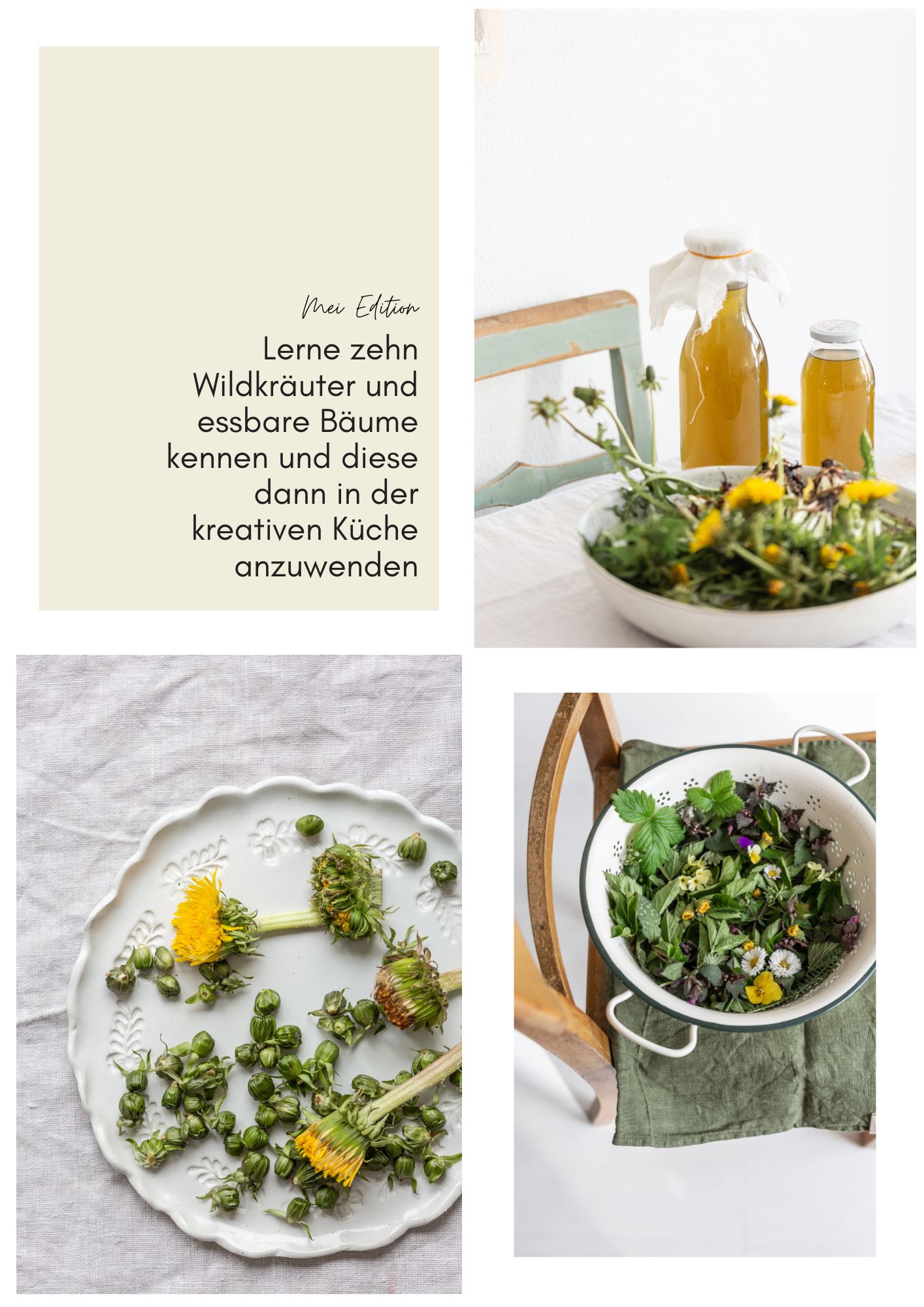 Wildkräuter Spaziergang + kreative  Kräuterküche in Landsberg am Lech am 27 Mai 2023 | Gesunde vegane Rezepte, Fermentation, Nachhaltigkeit - Syl Gervais