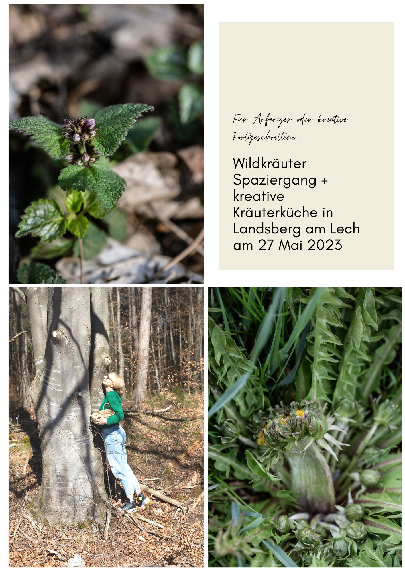 Wildkräuter Spaziergang + kreative  Kräuterküche in Landsberg am Lech am 27 Mai 2023 | Gesunde vegane Rezepte, Fermentation, Nachhaltigkeit - Syl Gervais